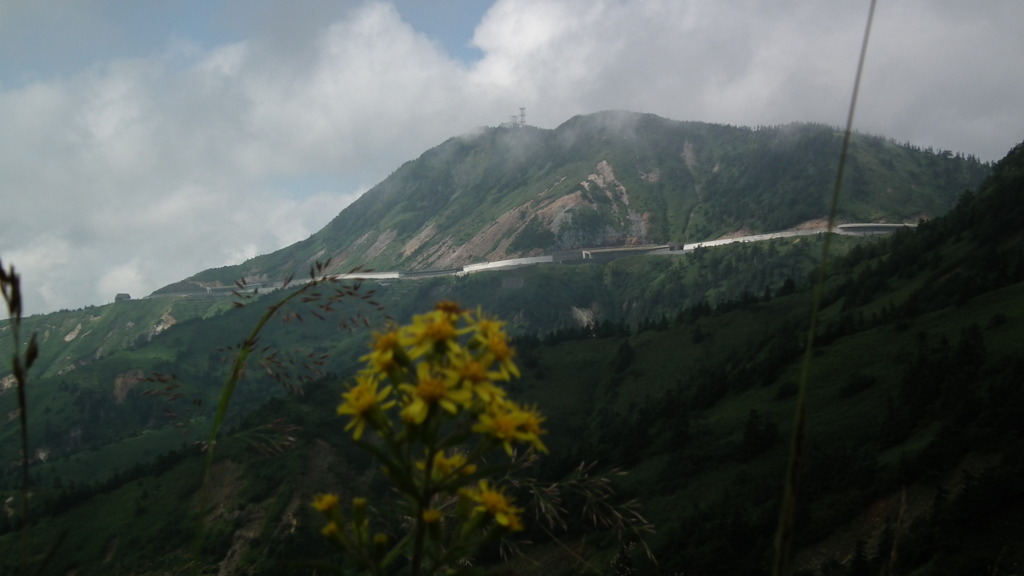 夏休み-別れたあと