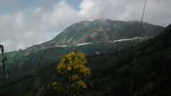 夏休み-別れたあと