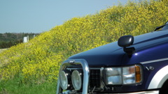 2011/04