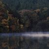 IMG2_2341
