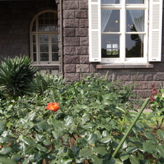 R0011175