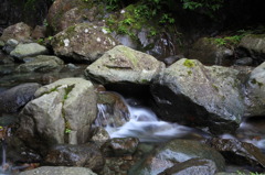 夏休みのひとこま