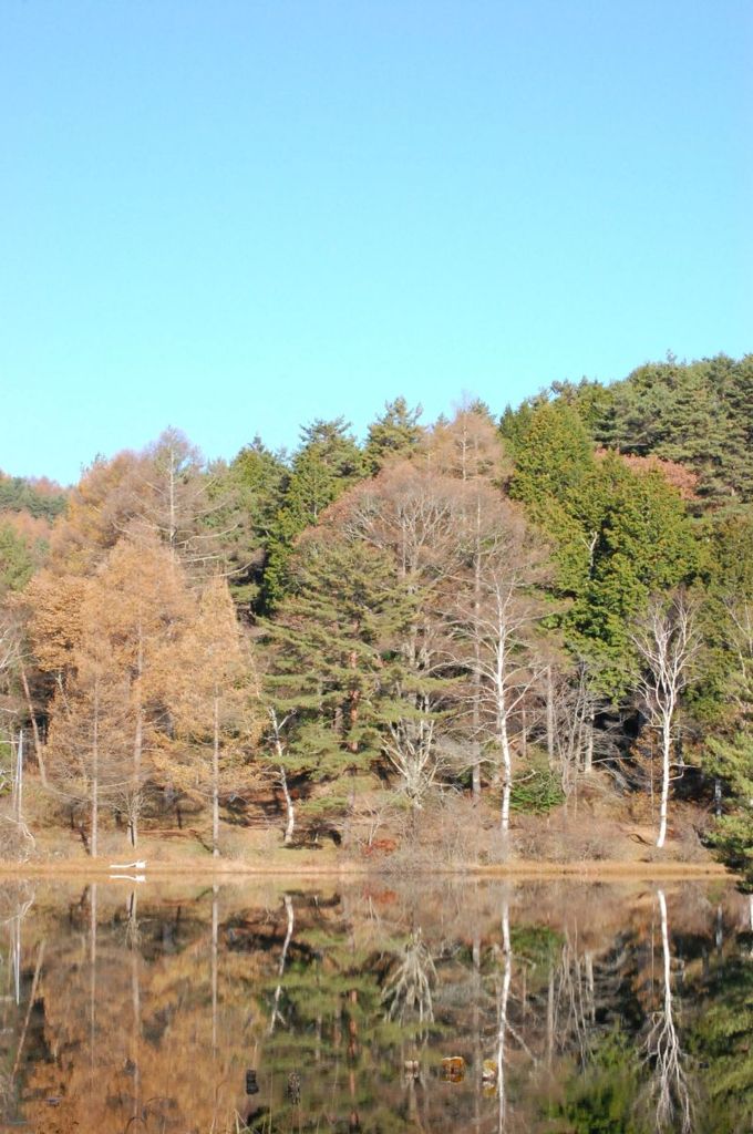 chiyoda5