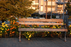 bench-for-chaplin