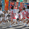真鶴よさこい　２