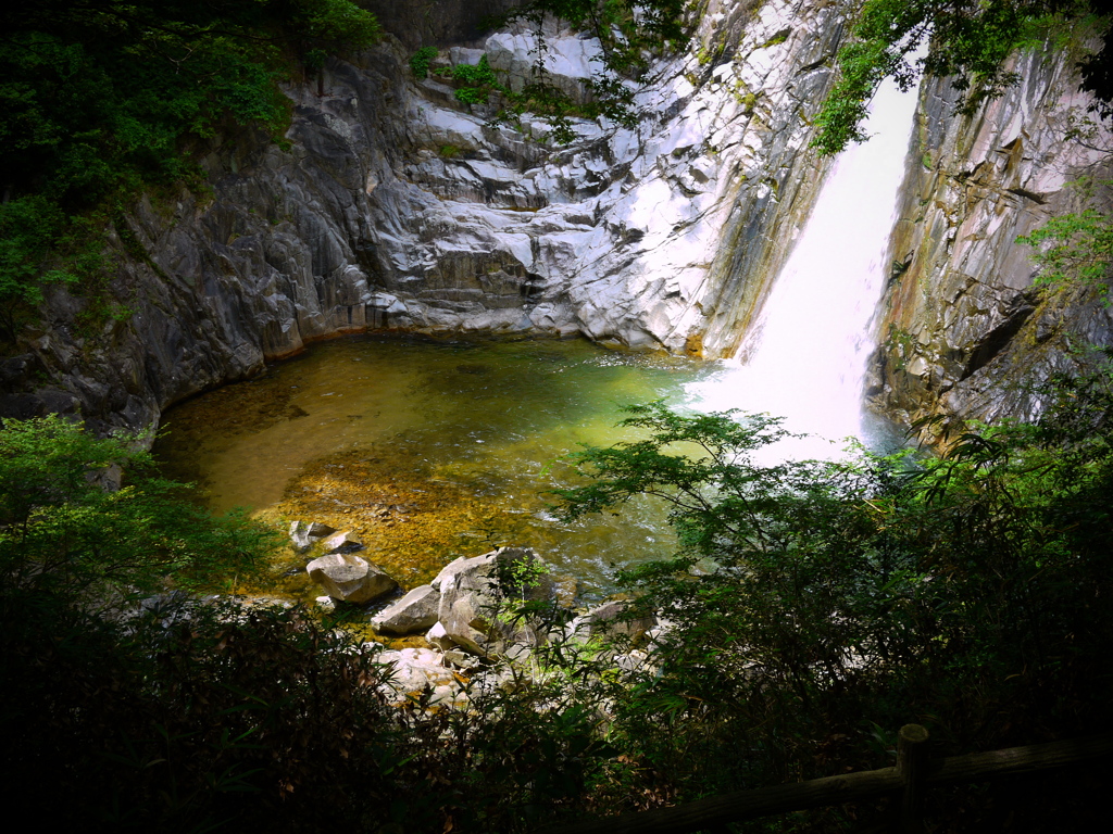 水を湛える