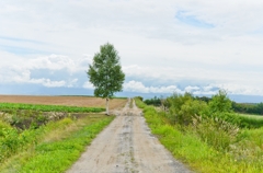 country road