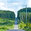 強引な道