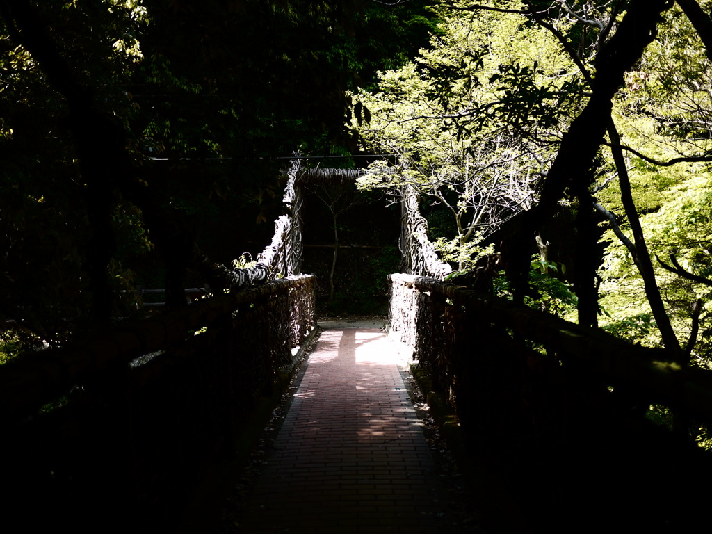 猿のかずら橋