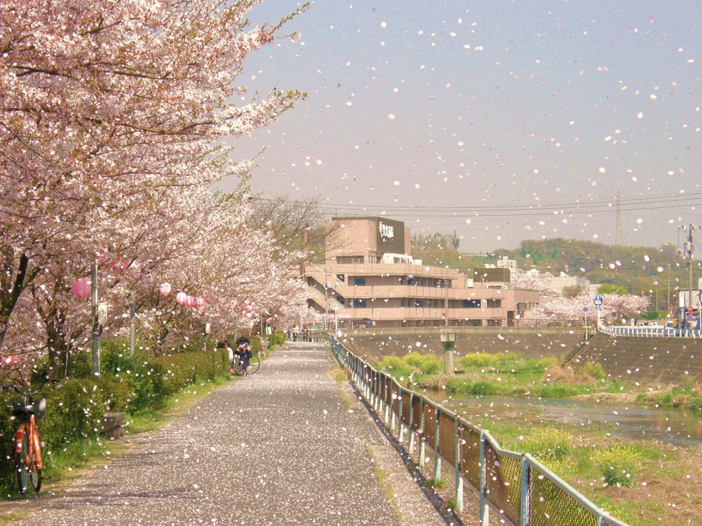 桜吹雪。