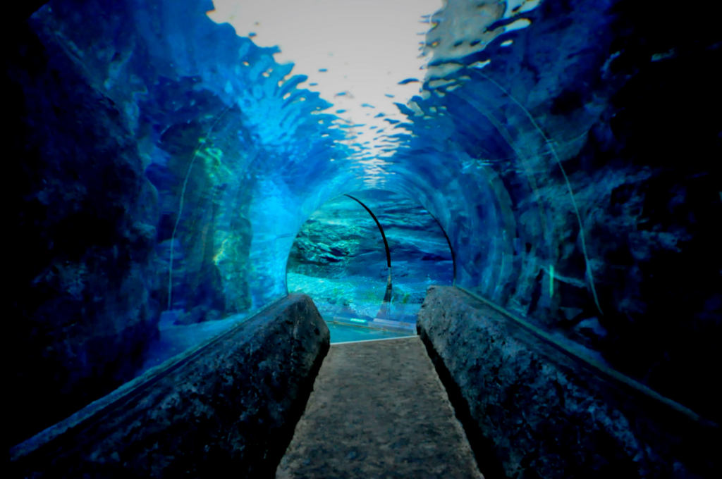 BLUE LINE