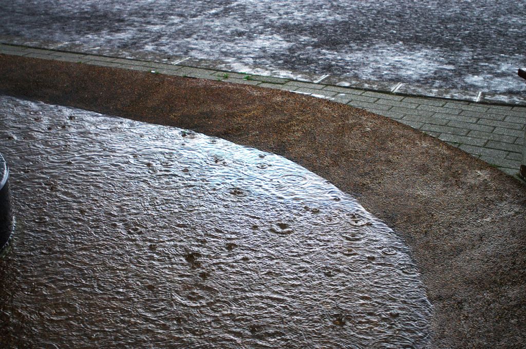 雨ニモ。
