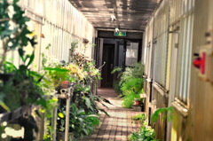 温室探索