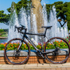噴水と自転車
