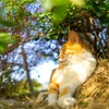 一休み