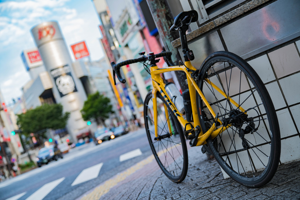 早朝と渋谷と黄色