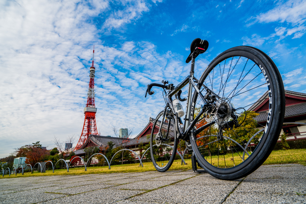 東京タワーと自転車