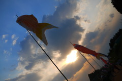 夕方海水浴＾＾