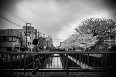 DSC09371