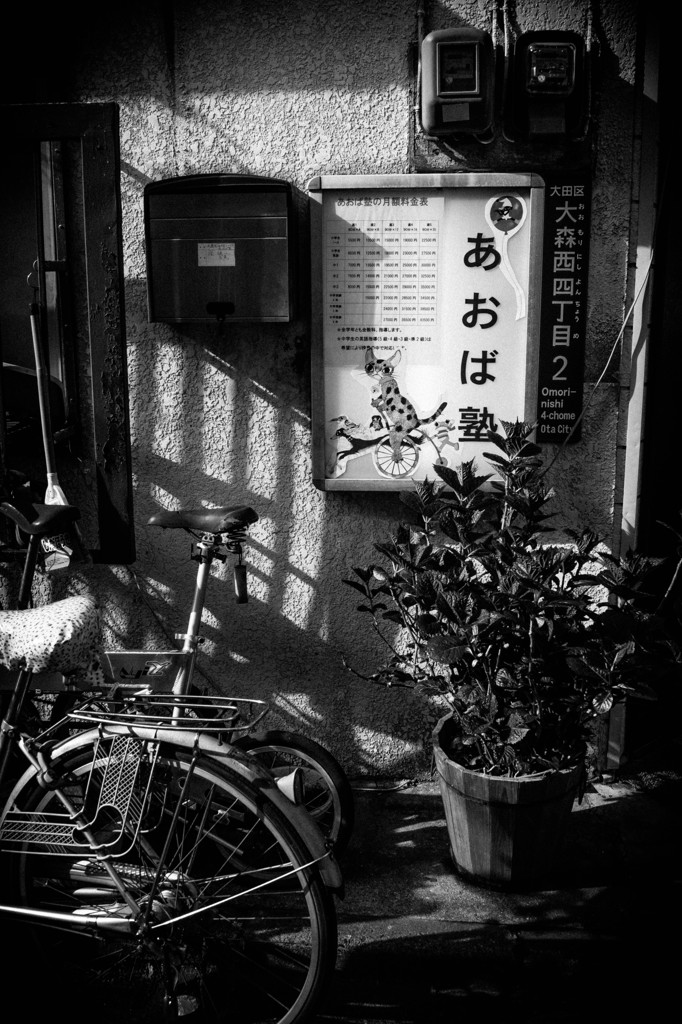 DSC09407