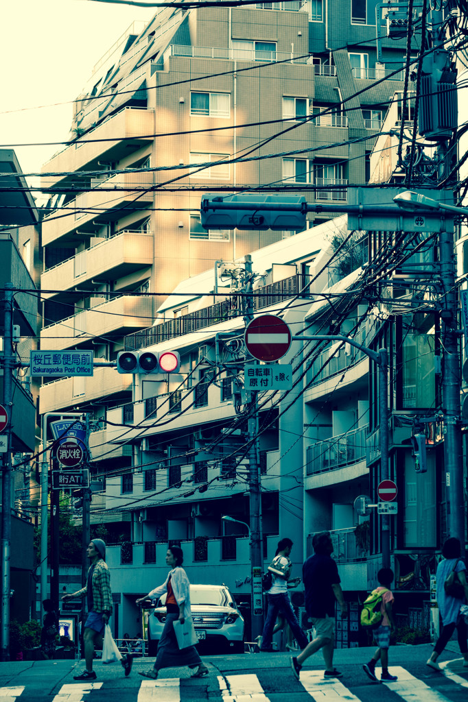 東京／桜丘