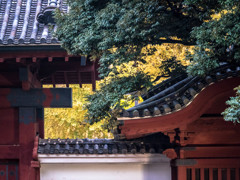 東大　赤門
