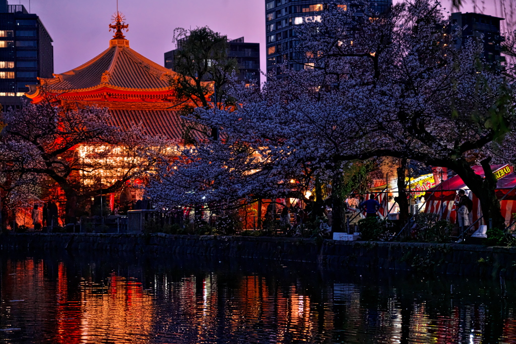 東京／上野