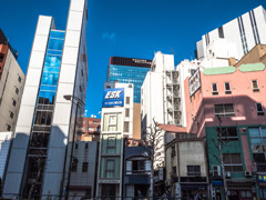 P1010073