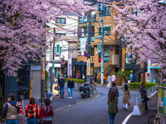 東京／表参道