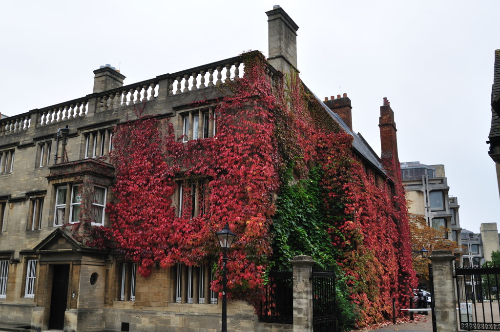 Bldg in Red