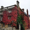 Bldg in Red