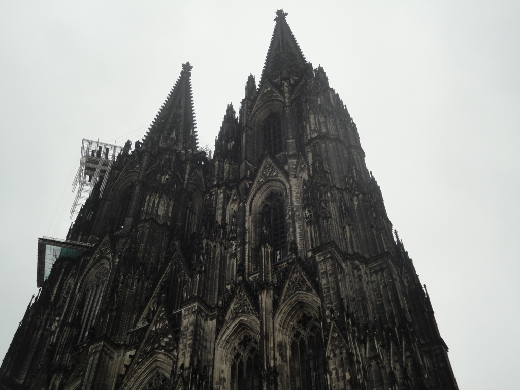 Dom