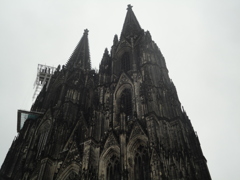 Dom