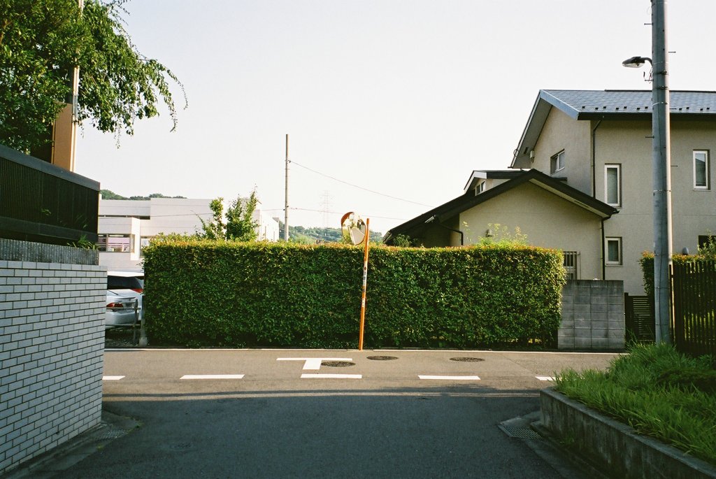 道。