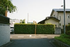 道。