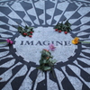 IMAGINE