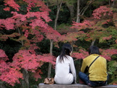 恋人たちの秋