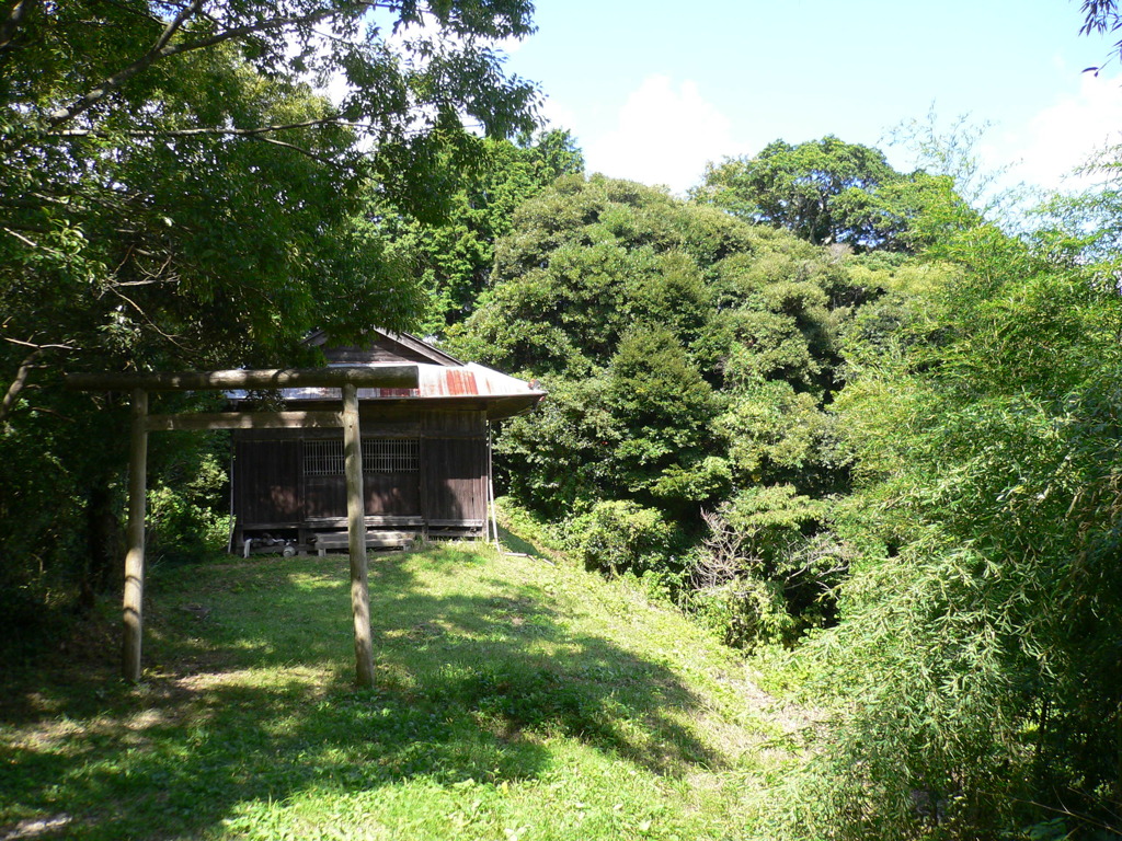 P1010064