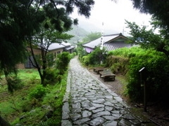 RIMG0768