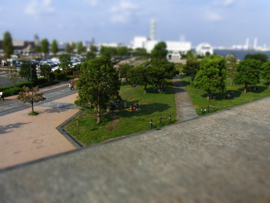 RIMG0154