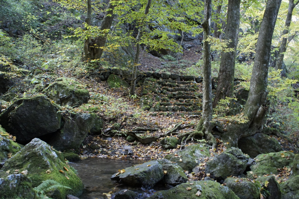 _DSC0254