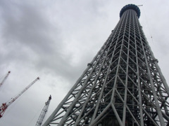 RIMG0233