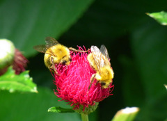 RIMG0344