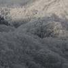 長野旅行_1043