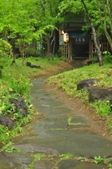蕎麦屋巡り2_0712