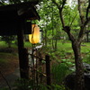 蕎麦屋巡り2_0708