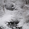 長野旅行_1033