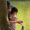 どーじょ。
