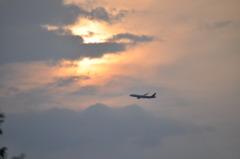 夕日に向かって