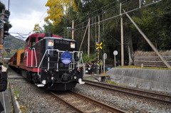 嵐山トロッコ